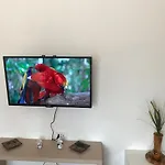 Apartment Andi *