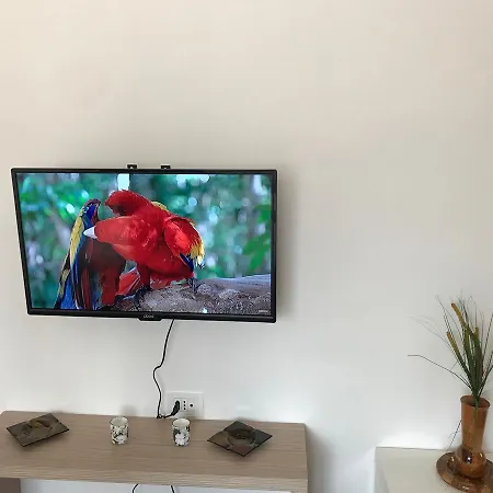 Apartament Andi *