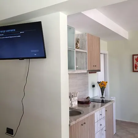 Apartament Andi *
